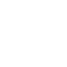 Icon Computer Vision
